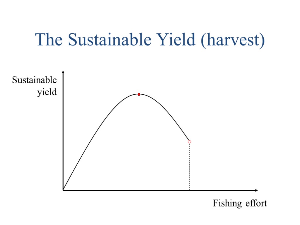 The Sustainable Yield (harvest)